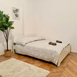 Spacious - 15 Min To Center Apartment